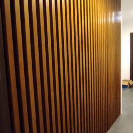 131014563_416055576192314_5